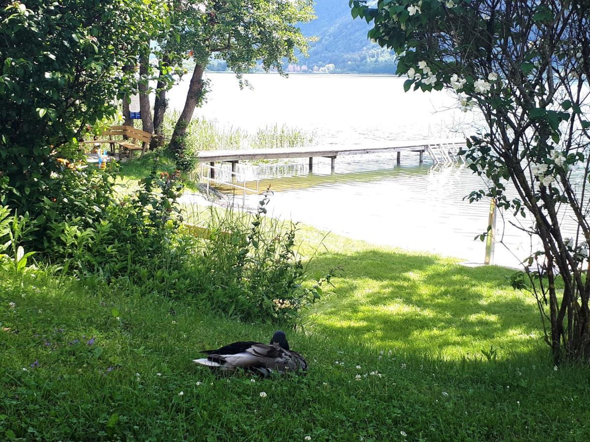 Maren Seeblick Appartement Haus Haensel&Gretel Direkt Am Ossiacher See Mit Hallenbad Stiegl エクステリア 写真